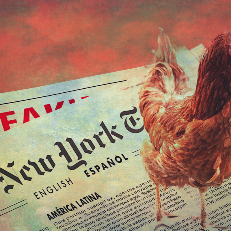 The Unseen Factor in Spreading COVID19: “Chickensh_t Journalism!”
